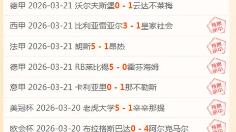 卡斯迪隆主场优势分析：期号专家推荐质合前区十码