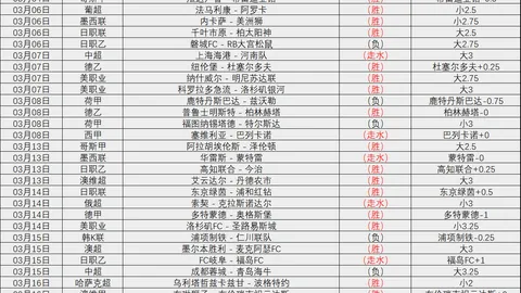 德甲第23轮：柏林联合与海登海姆战平，精彩瞬间集锦