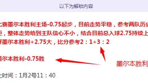 厄瓜多尔甲连庄佳绩 次席球队力保主场辉煌