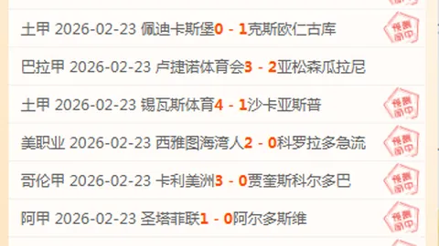张莽龙：篮球赛场上的体育精神风采展现